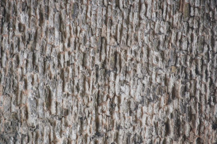 art, Colors, Creation, Digital, Materiaux, Nature, Texture, Webmaster HD Wallpaper Desktop Background