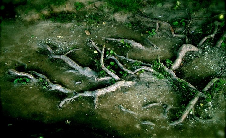 art, Colors, Creation, Digital, Materiaux, Nature, Texture, Webmaster HD Wallpaper Desktop Background