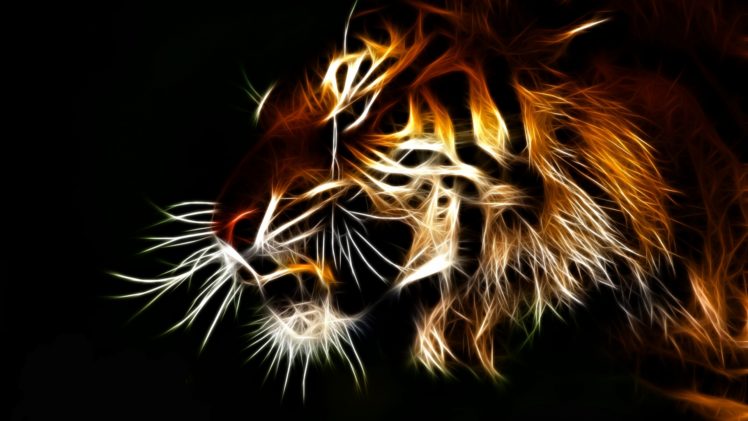 tiger, Fractal, Cats HD Wallpaper Desktop Background