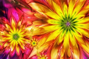 flowers, Bright, Abstract, Colorful, Fractal