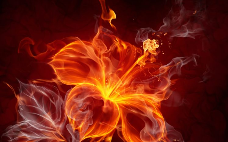 fire, Flower, Abstract HD Wallpaper Desktop Background