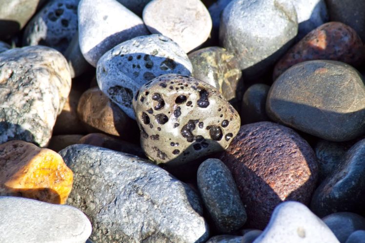 macro, Pebbles, Stones, Nature, Beach, Sea, Textures HD Wallpaper Desktop Background