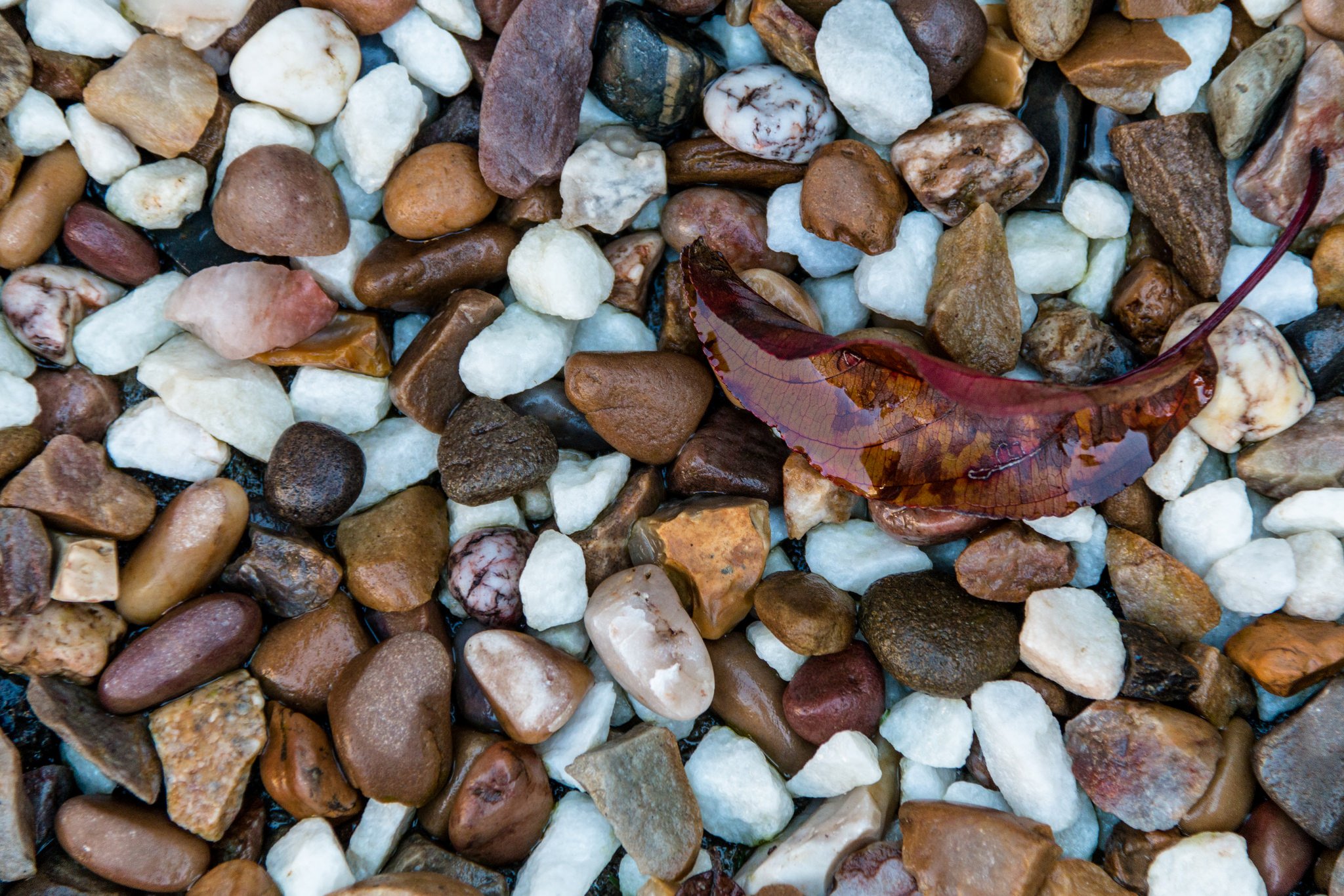 macro, Pebbles, Stones, Nature, Beach, Sea, Textures Wallpaper