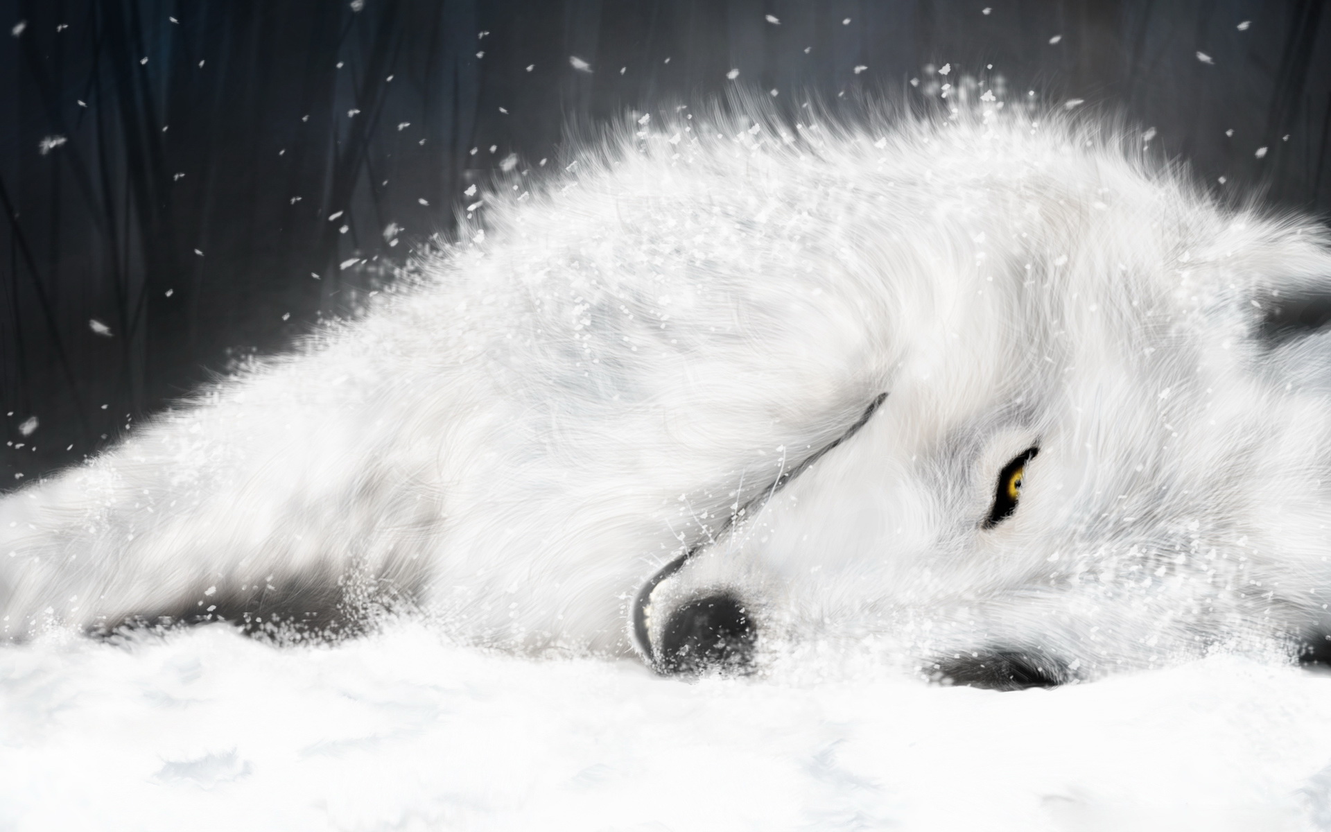 white, Fox, In, Ice Wallpaper
