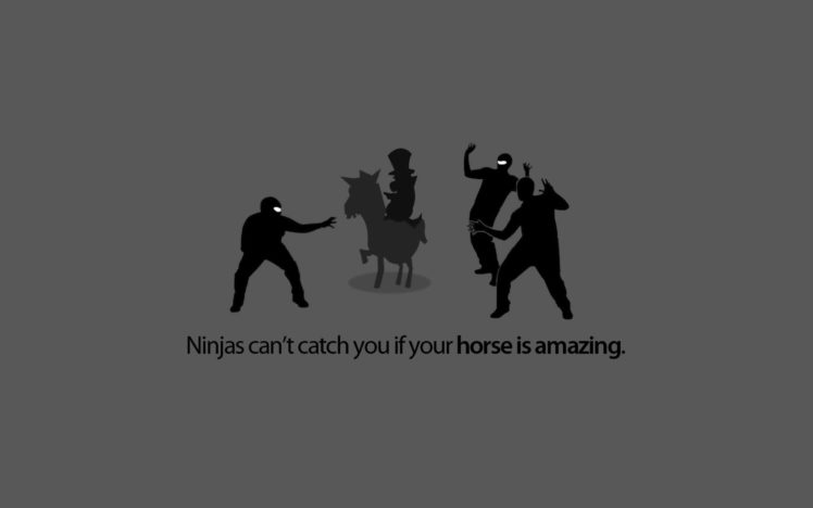 text, Funny, Ninjas, Cant, Catch, You, If HD Wallpaper Desktop Background