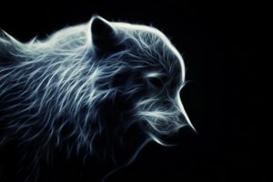 wolf, Wolves, Predator, Carnivore, Fractal, Artwork