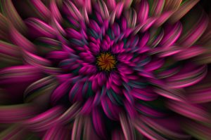 abstract, Flowers, Fractals