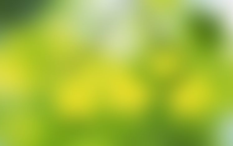 soft, Green HD Wallpaper Desktop Background