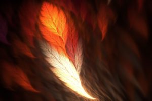 fractal firey feather