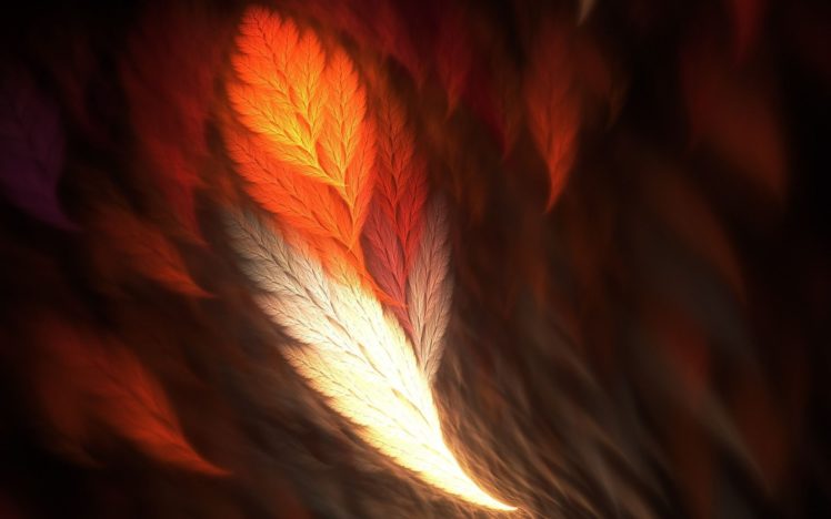 fractal firey feather HD Wallpaper Desktop Background