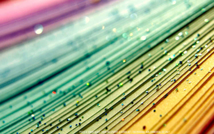 8443 HD Wallpaper Desktop Background