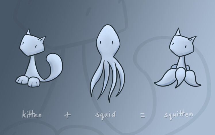 funny, Squid, Kittens HD Wallpaper Desktop Background