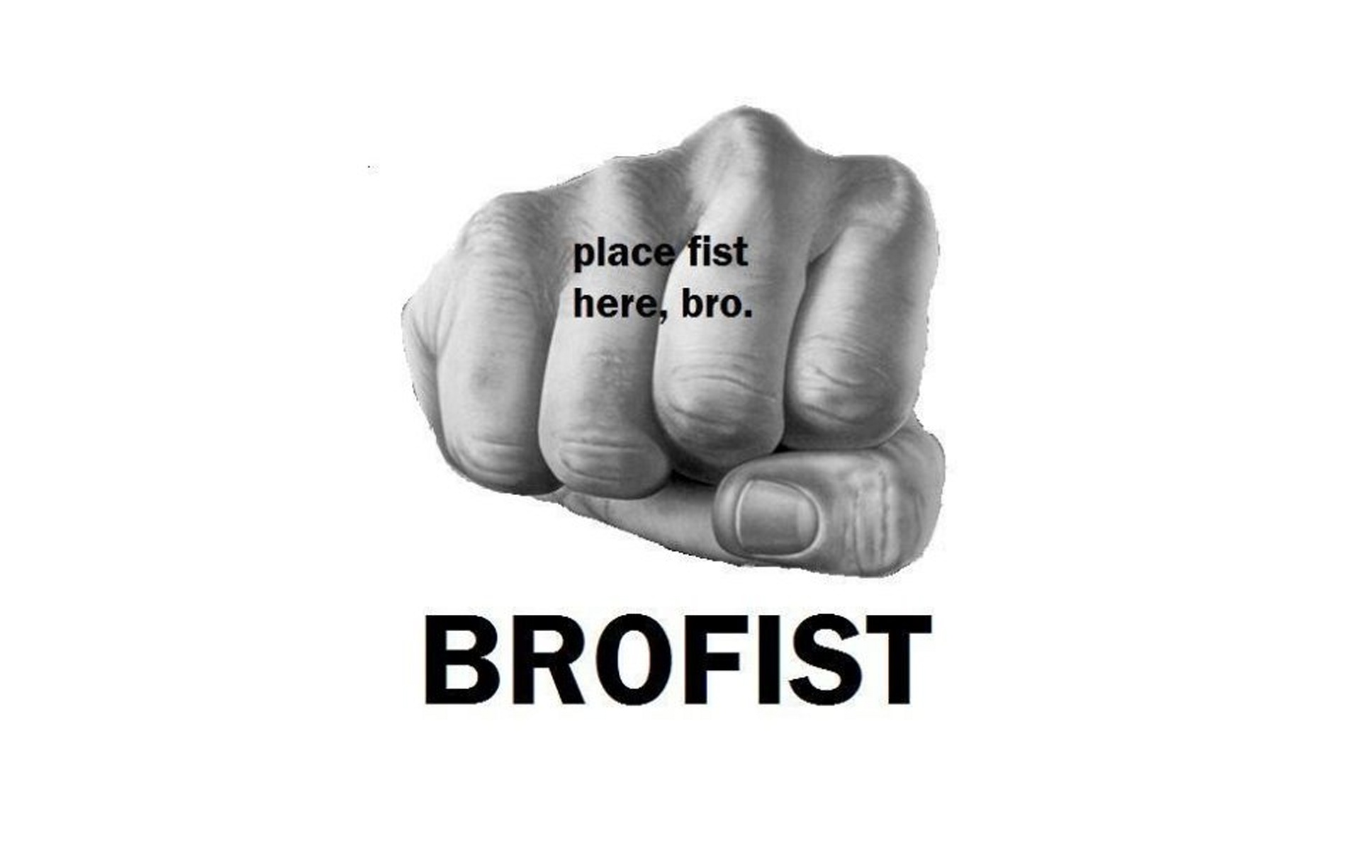 bro, Fist, White, Background Wallpaper