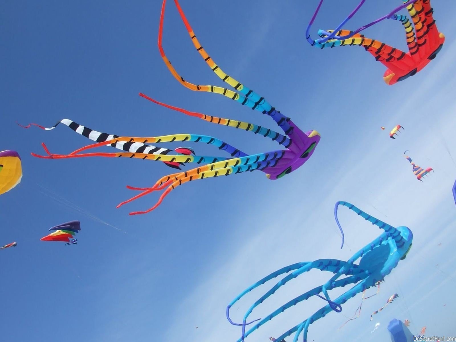 colorful, Big, And, Different, Style, Kites, Fly, In, Sky, On, Uttarayan, Festival Wallpaper