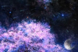 space, Art, Cherry, Night, Star, Tree, Tsujiki, Moon