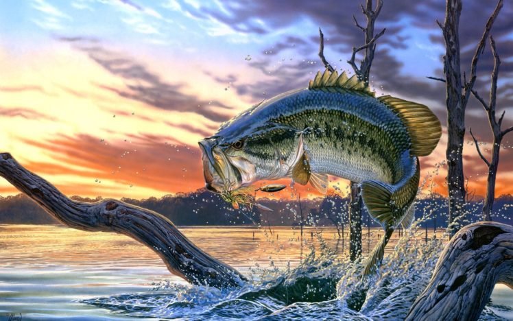 al, Agnew, River, Fish, Art, Perch HD Wallpaper Desktop Background