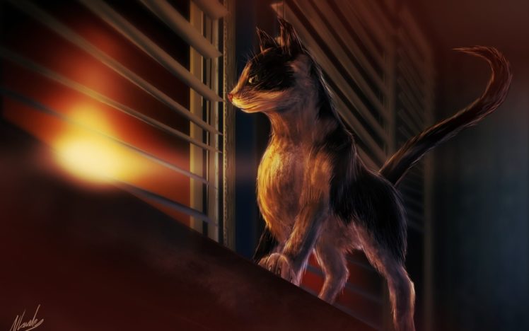 window, Sill, Interest, Cat, Blinds, Sunset, Art, Cat HD Wallpaper Desktop Background