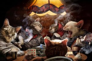 cards, Cats, Cigarette, Funny, Game, Humor, Poker, Smoke