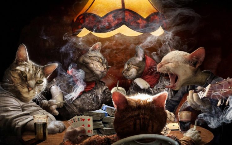 cards, Cats, Cigarette, Funny, Game, Humor, Poker, Smoke HD Wallpaper Desktop Background