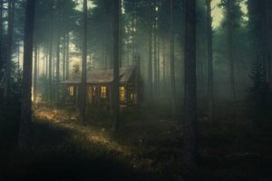 nature, Landscape, Forest, Mist, House