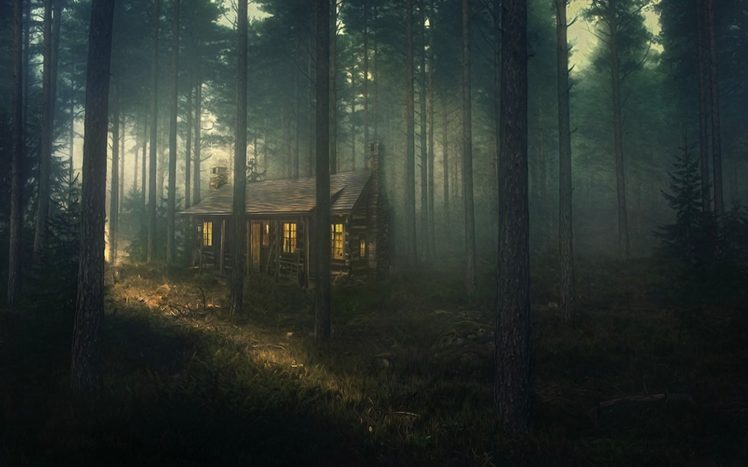 nature, Landscape, Forest, Mist, House HD Wallpaper Desktop Background