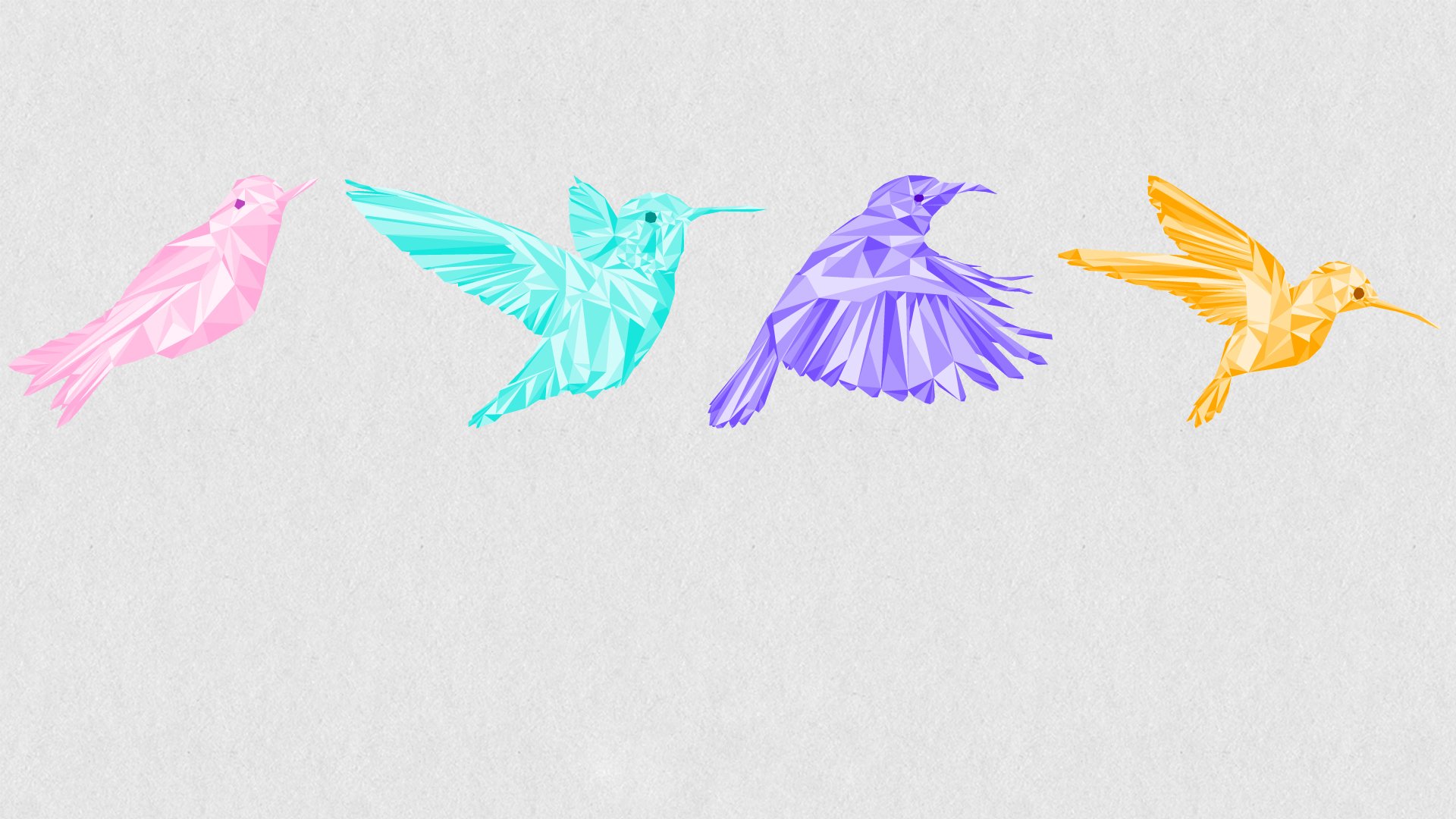 birds, Animal, Colors Wallpaper