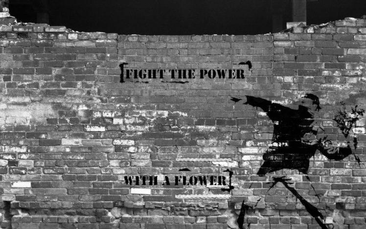fight, The, Power, With, A, Flower HD Wallpaper Desktop Background