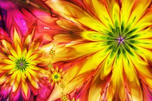 flowers, Colorful, Abstract