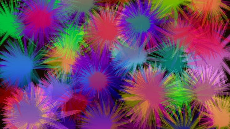 flowers, Colorful HD Wallpaper Desktop Background