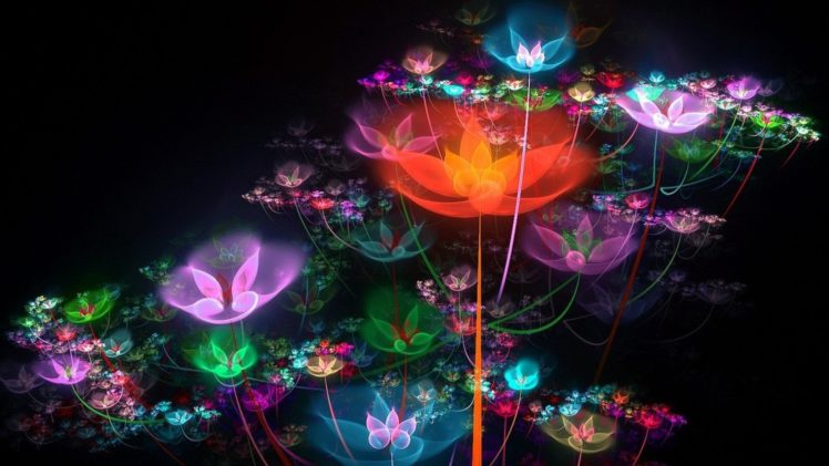 colorful, Bright, Flowers, Sparkles, Neon HD Wallpaper Desktop Background