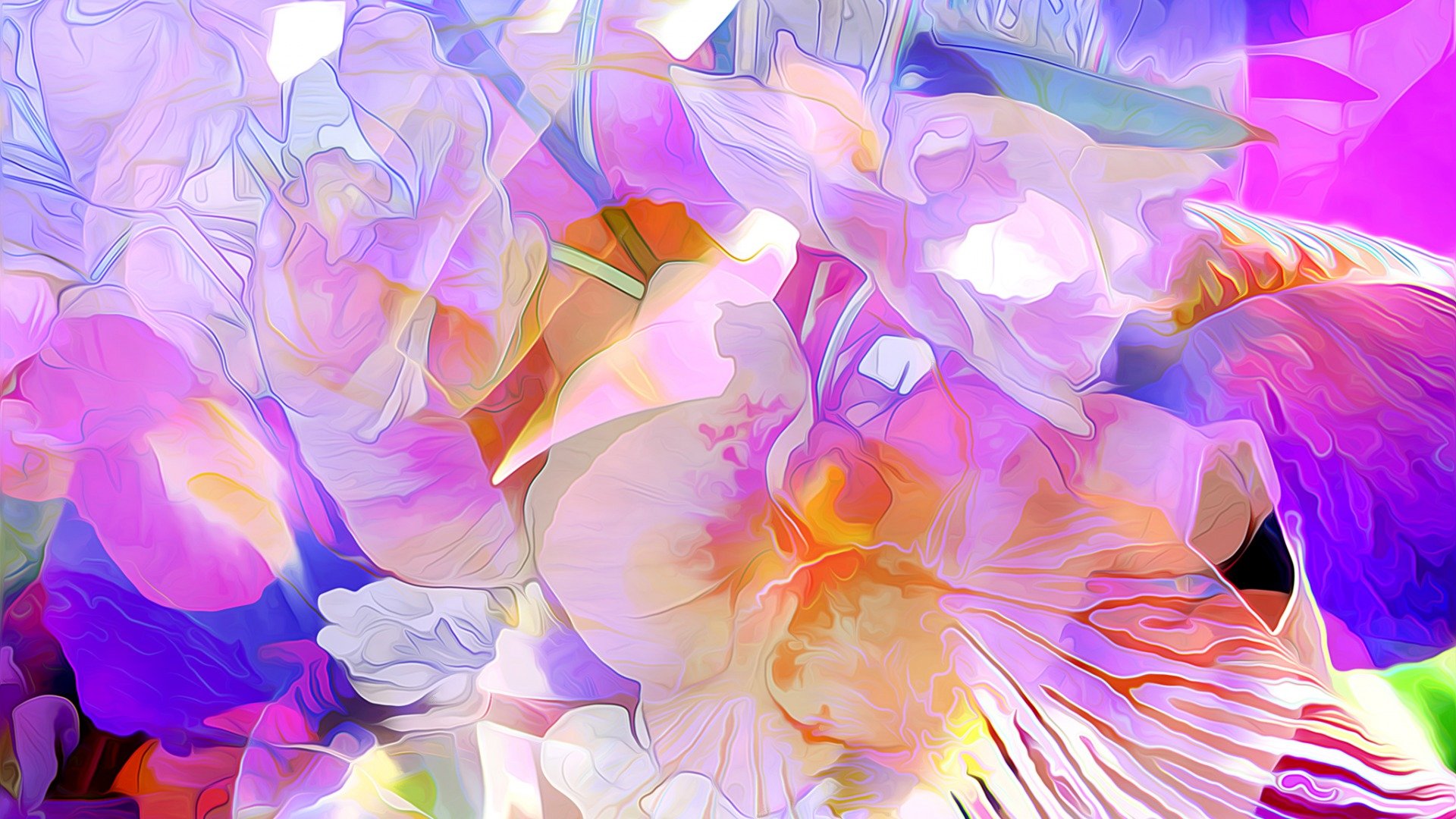 529021 Wallpaper