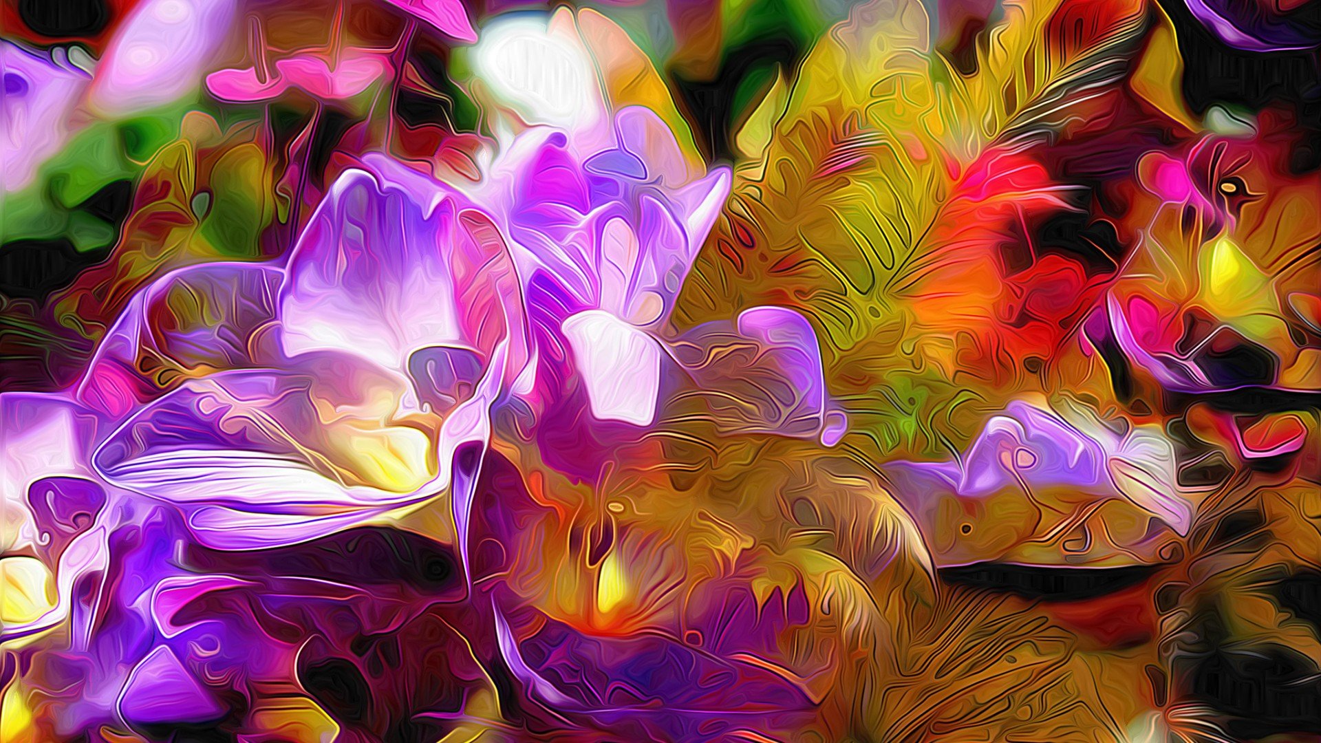 529023 Wallpaper