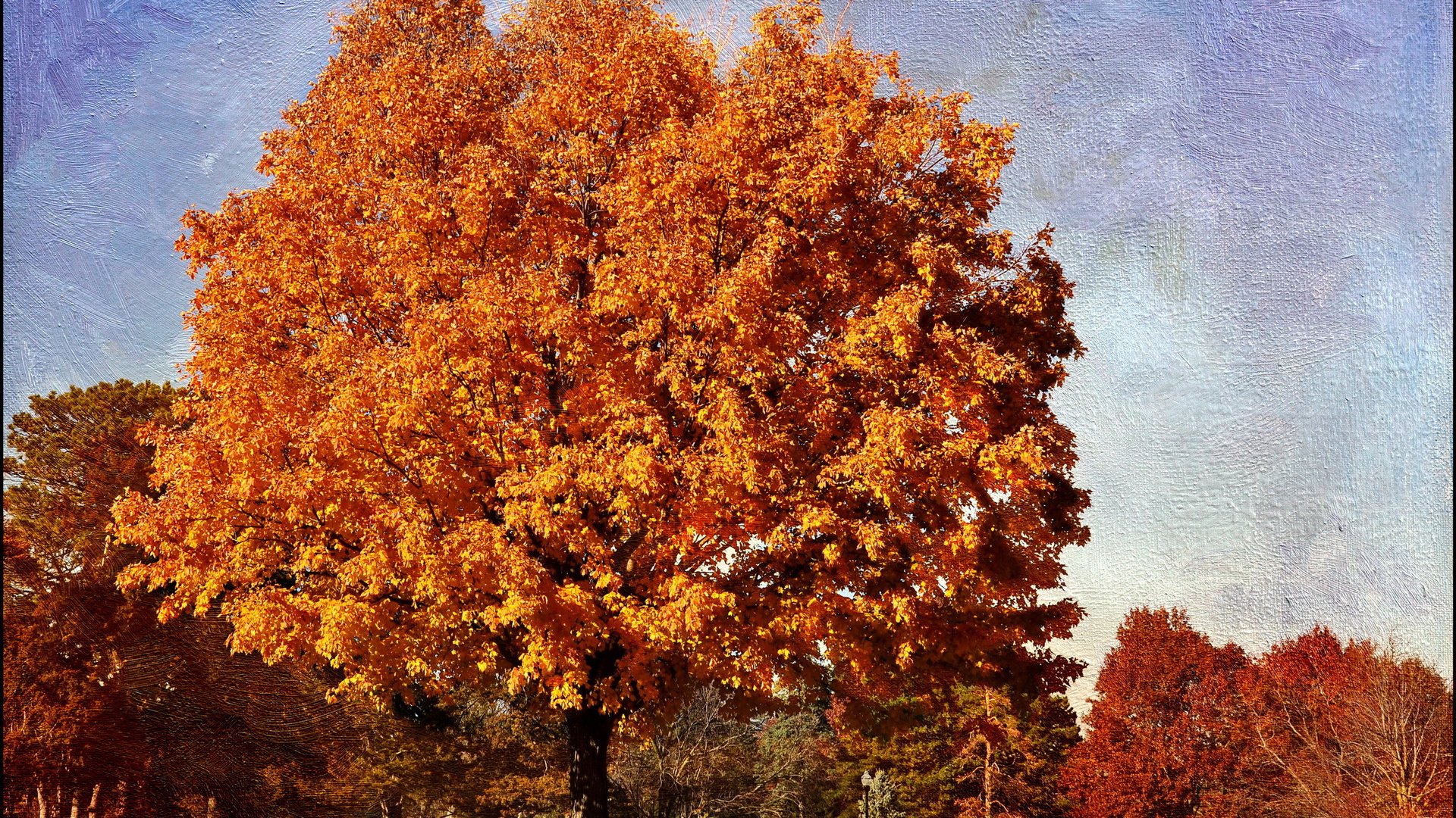 style, Abstract, Art, Digital, Creative, Creation Wallpaper