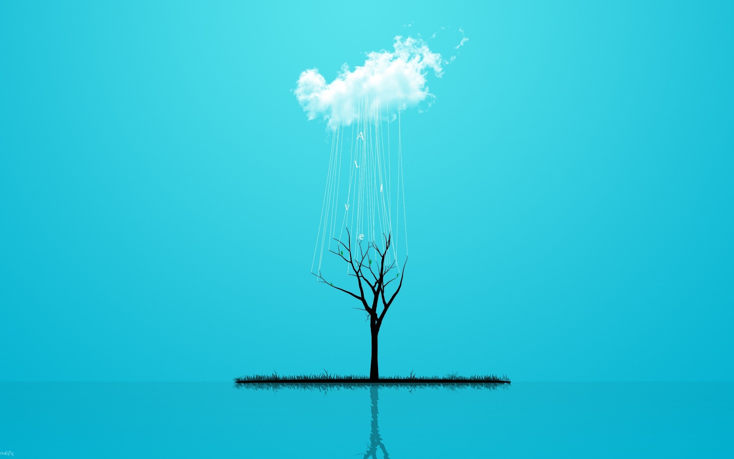 alive, Tree, Blue, Cloud, Rain Wallpaper
