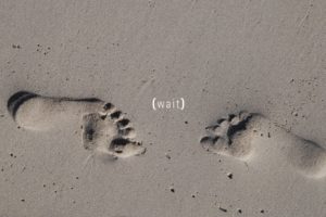 sand, Beach, Simple, Footprint