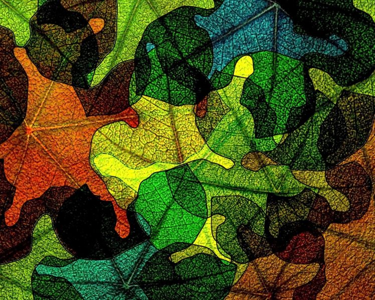 615946 HD Wallpaper Desktop Background