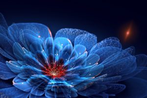 backgroung, Colors, Flower, Pattern, Wallpapers, Blue, Lights