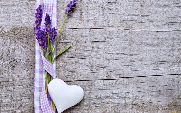 flowers, Hearts, Love, Emotions, Woods, Lavender, Purple Wallpapers HD /  Desktop and Mobile Backgrounds