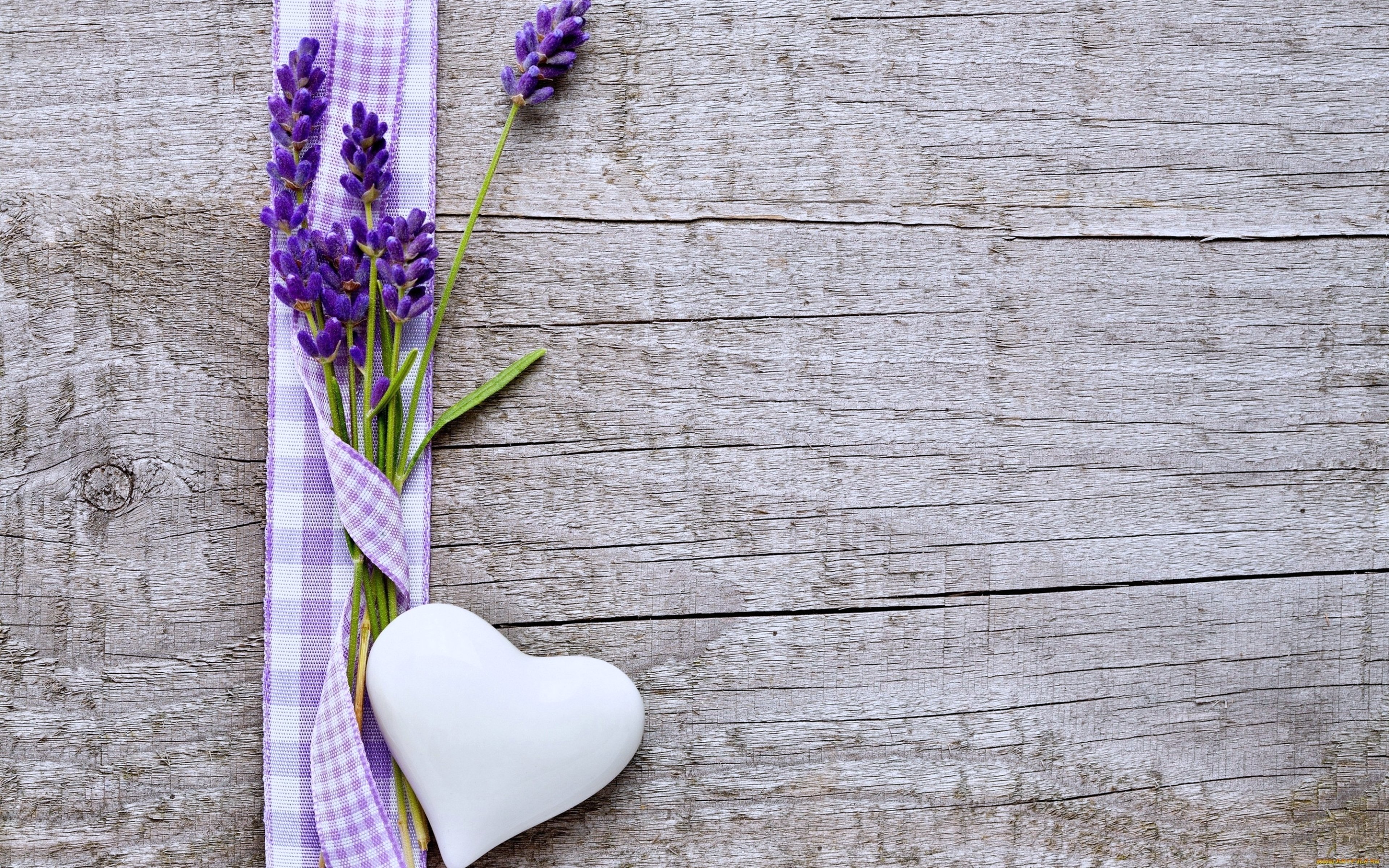 flowers, Hearts, Love, Emotions, Woods, Lavender, Purple Wallpaper