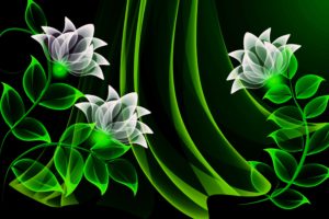 abstract, Background, Colorful, Colors, Glowing, Wallpapers, Art, Flowers, Green