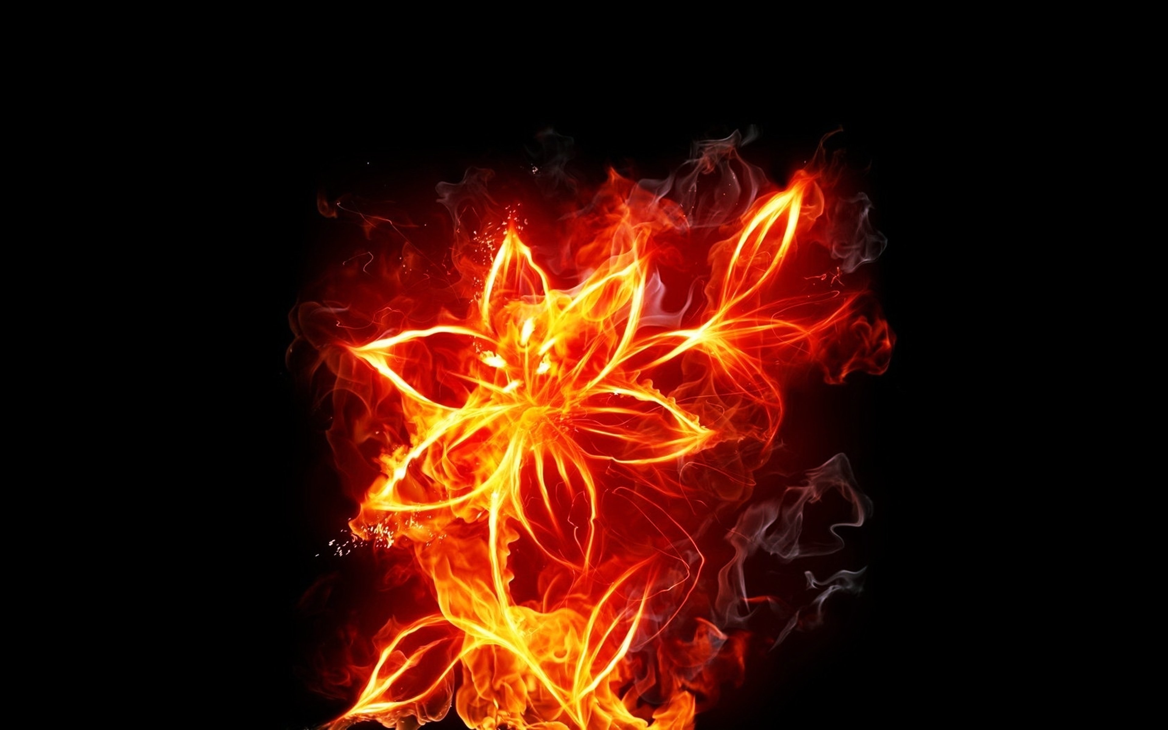 flower, Smoke, Fires, Inflamed, Abstract, Art, Background, Wallpapers Wallpaper