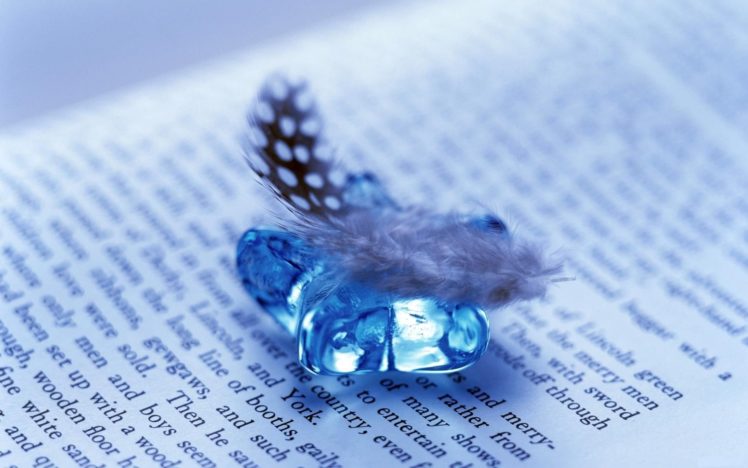 feather and gem on open book HD Wallpaper Desktop Background