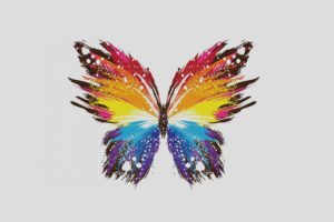butterfly, Art, Illust, Cute, Minimal, Color