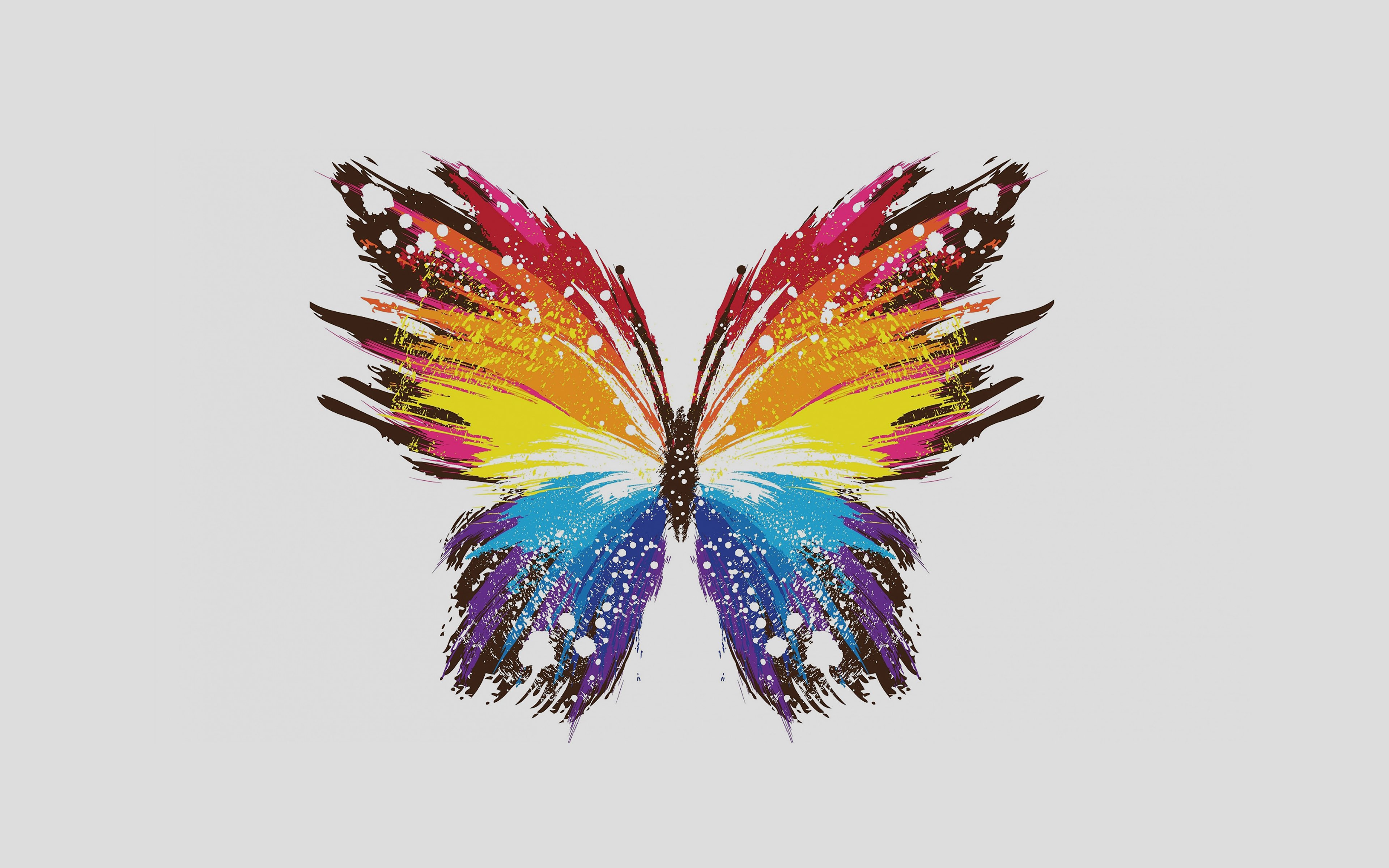 butterfly, Art, Illust, Cute, Minimal, Color Wallpaper
