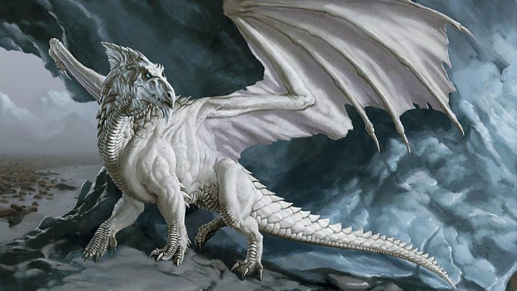 dragon, Blanco, Arte, Fantasia HD Wallpaper Desktop Background