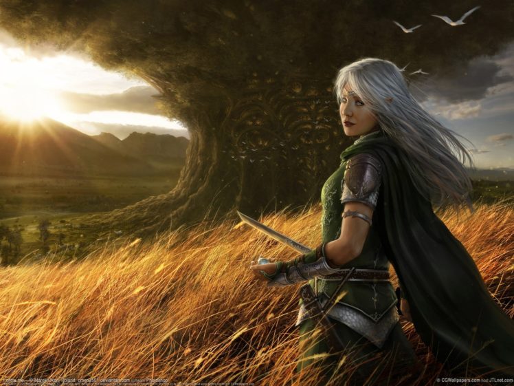 arts, Girl, Sun, Sword, Tree, Warrior HD Wallpaper Desktop Background