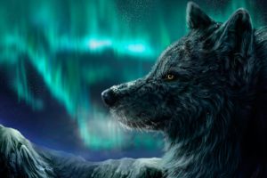 wolf, Wolves, Artwork, Winter