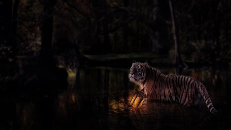 fantasy, Art, Artwork, Tiger, Predator, Carnivore, Cat HD Wallpaper Desktop Background