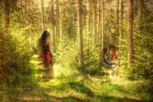 forest, Nature, Tree, Landscape, Artwork, Mood, Girl, Girls, Tiger, Manipulation