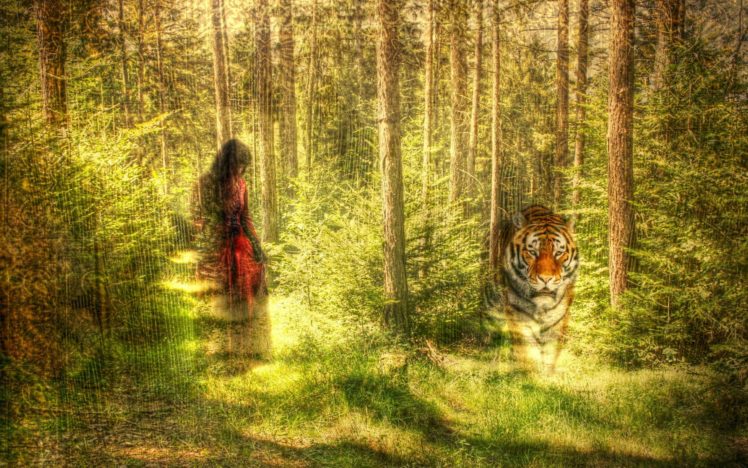 forest, Nature, Tree, Landscape, Artwork, Mood, Girl, Girls, Tiger, Manipulation HD Wallpaper Desktop Background